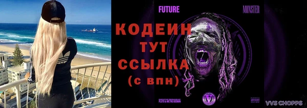 метадон Няндома
