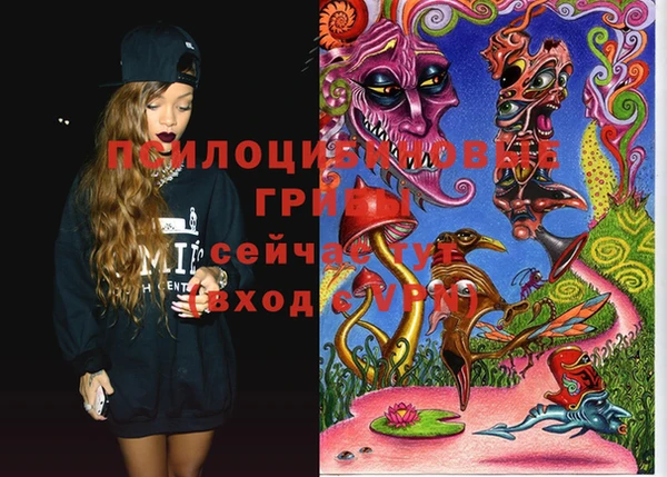 метадон Няндома