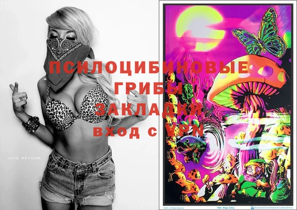 круглые Новодвинск