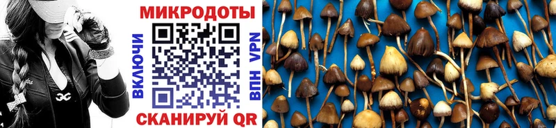 Галлюциногенные грибы MAGIC MUSHROOMS Борзя
