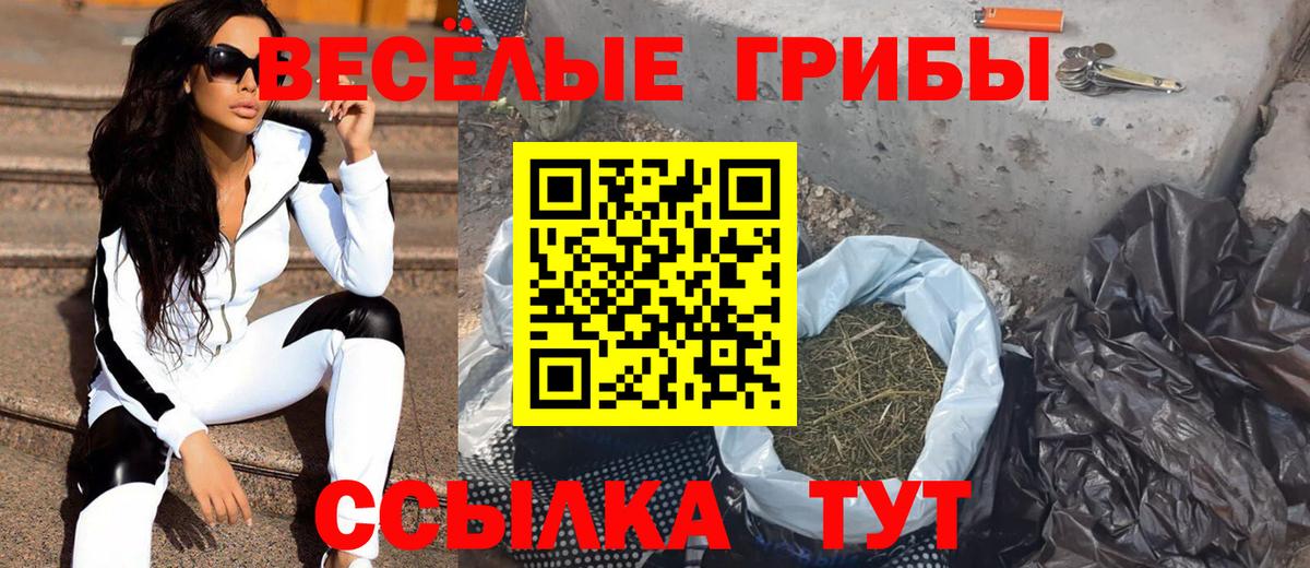 купить закладку  Борзя  Псилоцибиновые грибы Magic Shrooms 