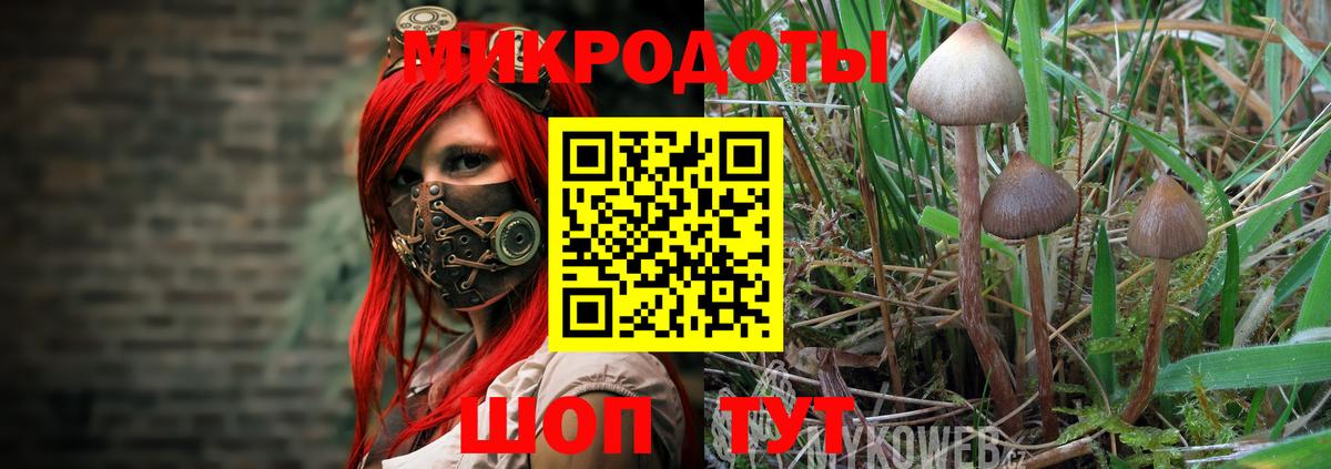 Борзя  Псилоцибиновые грибы ЛСД  Вход с VPN 